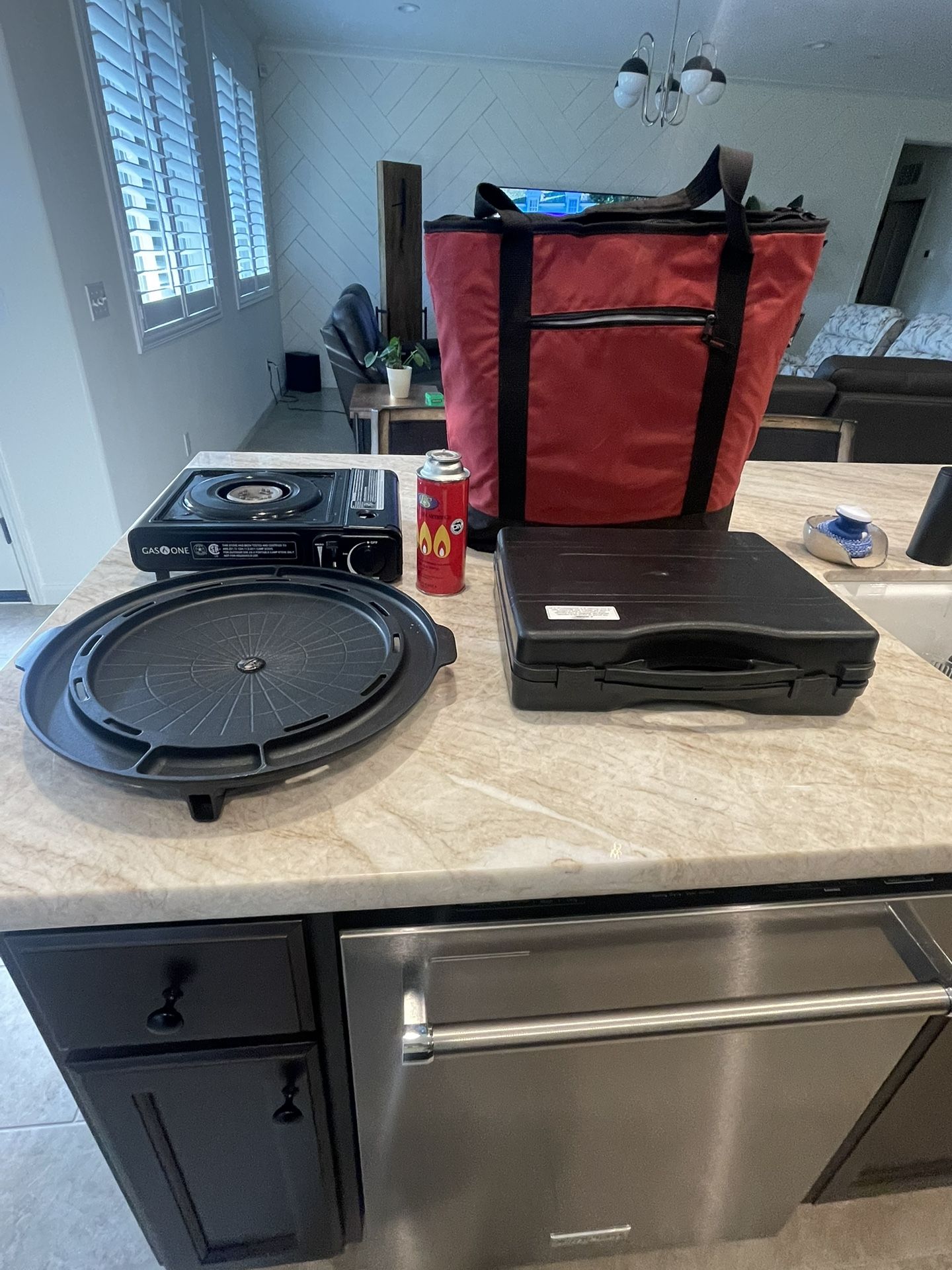 OUTDOOR BBQ GRILL AND BAG