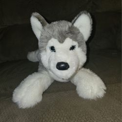 SIBERIAN HUSKY DOUGLAS PLUSH