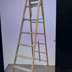 Ladder Werner 10’ - Reduced Price