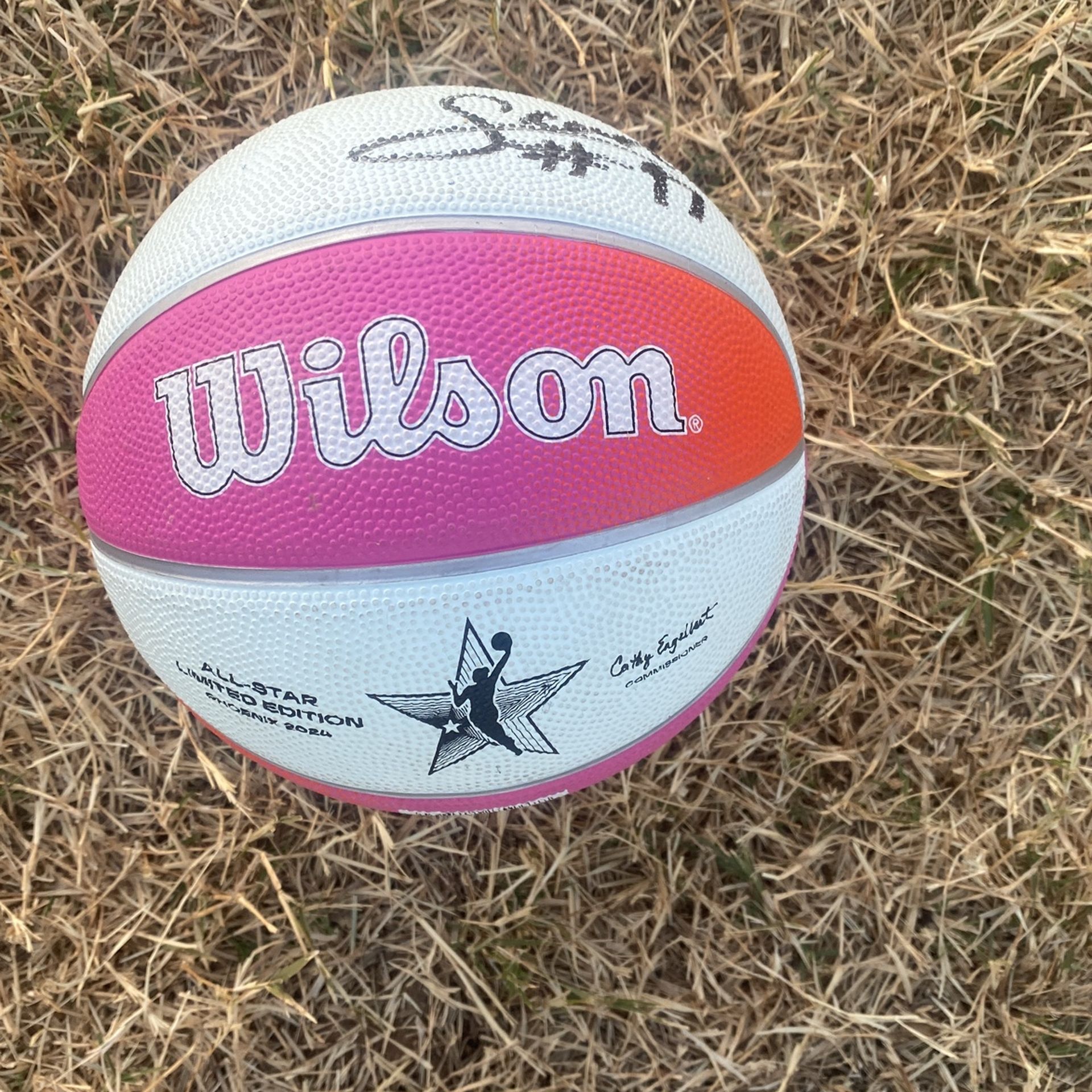 Limited Edition Mini Ball Signed by the Mercury team mascot