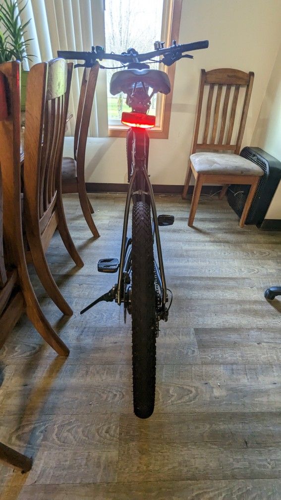 Trek Dual Sport+ 2 2023 With Upgraded Battery