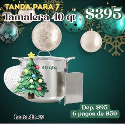 Tamalera De 40 Qt Con Parrilla Y Divisor De Princess House Nueva 