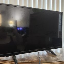 Westinghouse 32 In TV 