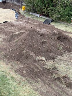 Free Dirt/mix