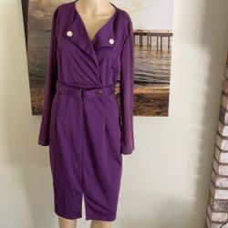 Women’s Purple Color 3XL Long Sleeve Dress 