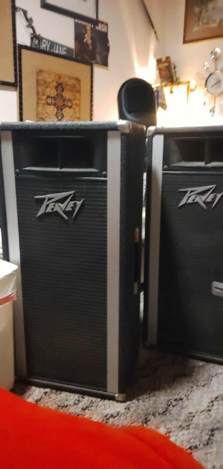 Vintage Peavey Speakers