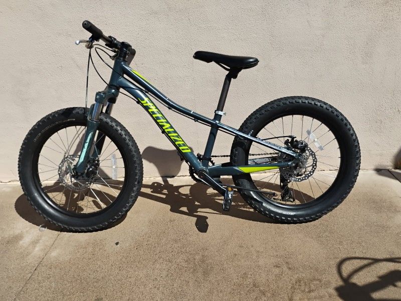 Specialized 20 Inch Bike