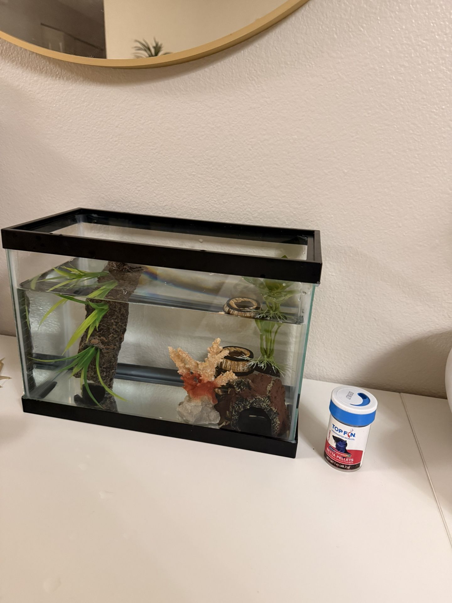 2.5 Gallon Fish Tank