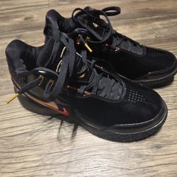 Nike Zoom LeBron NXXT Gen Amped
