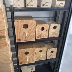 bird nest to choose