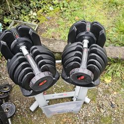 Bowflex Dumbells With Stand