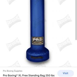 Pro Boxing Stand