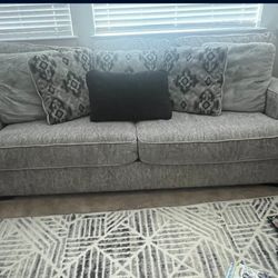 Plush Light gray Couches