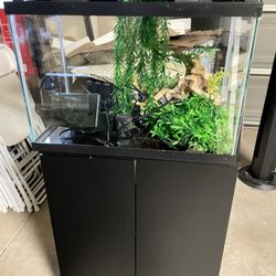 20 gallon fish aquarium 