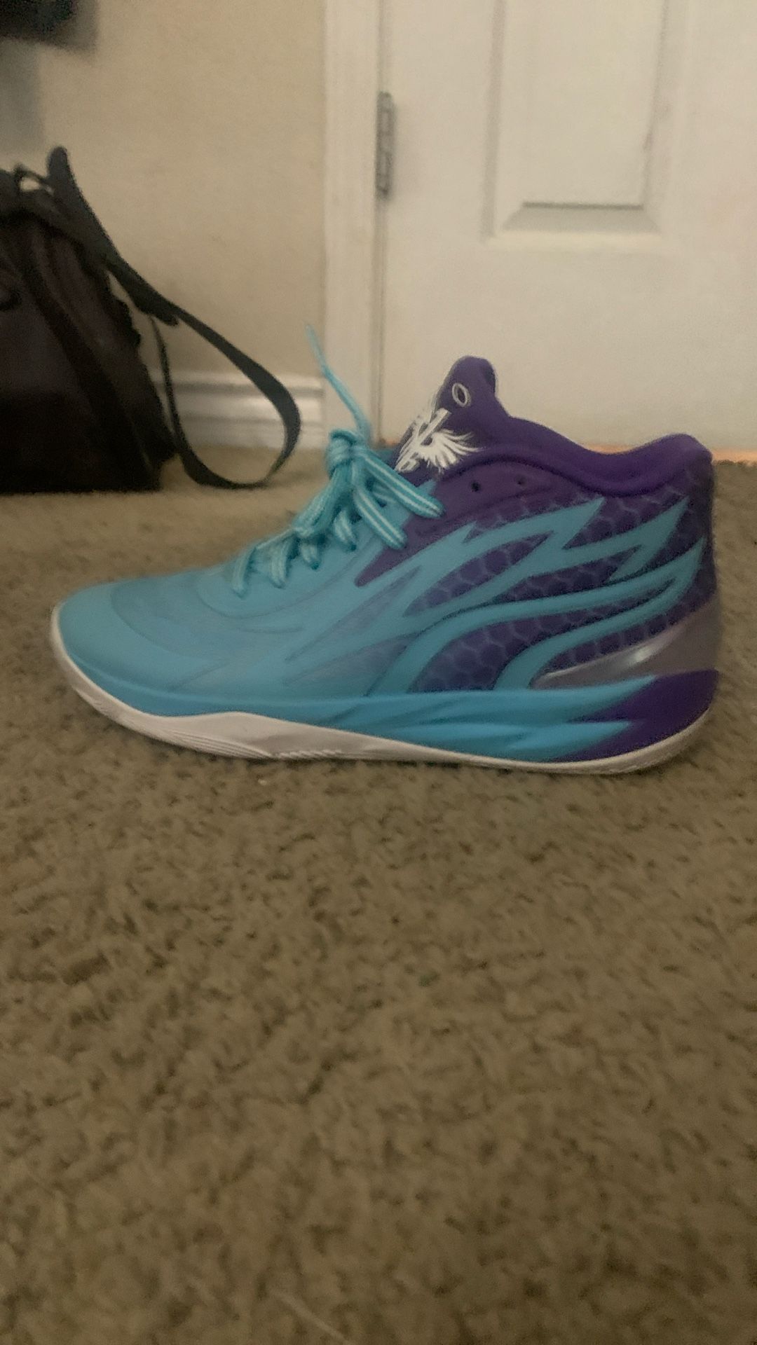 LaMelo Ball
