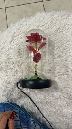 Rose Decorations 