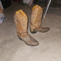 Snakeskin Cowboy Boots