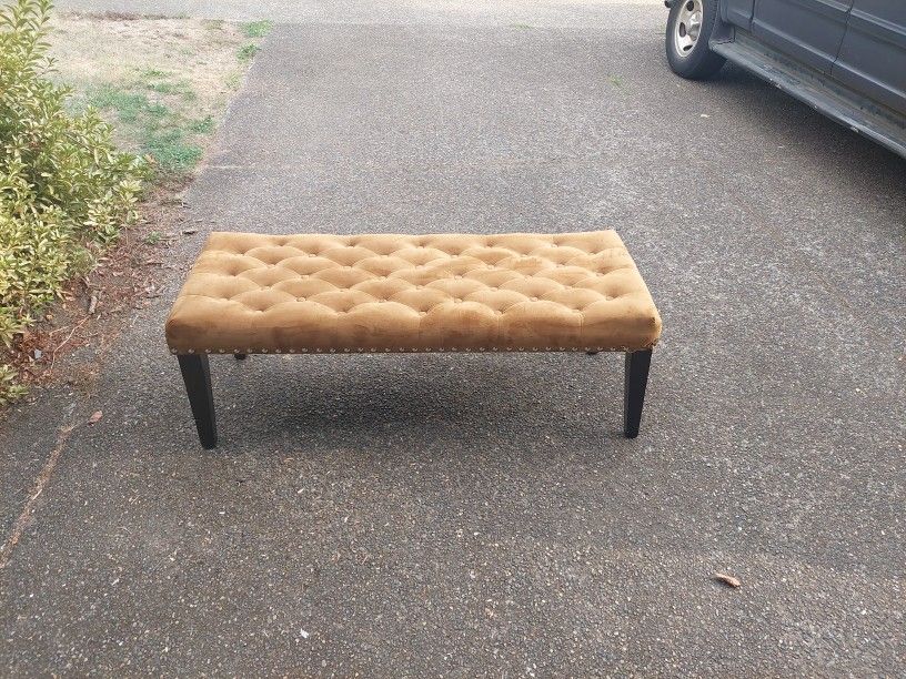 Cushioned Seating Chair