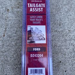 Ford F-150 Tailgate Assist DZ43204
