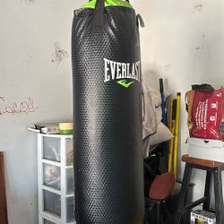Everlast punching bag boxing