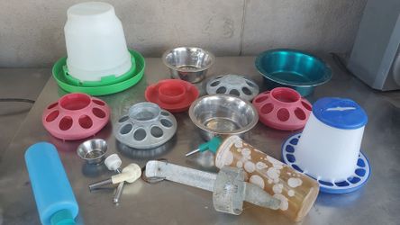 Asesorios para mascotas