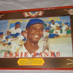 Ernie Banks Seagram's Bar Mirror Large 40"x24" Chicago Cubs HOF