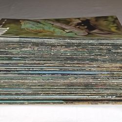 ZooNooz Magazine Vintage Lot of 74 Issues From 1(contact info removed)