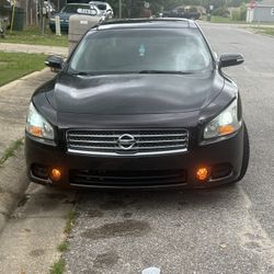 2010 Maxima 5500
