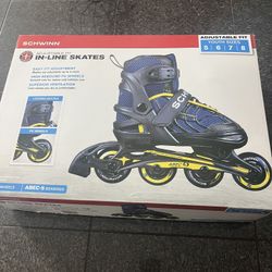 Roller Skates