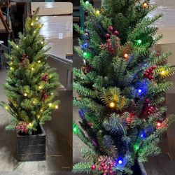 42” Potted Green Mountain Fir 