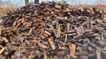 Seasoned Firewood 