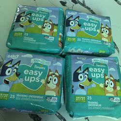 Pampers Size 2t