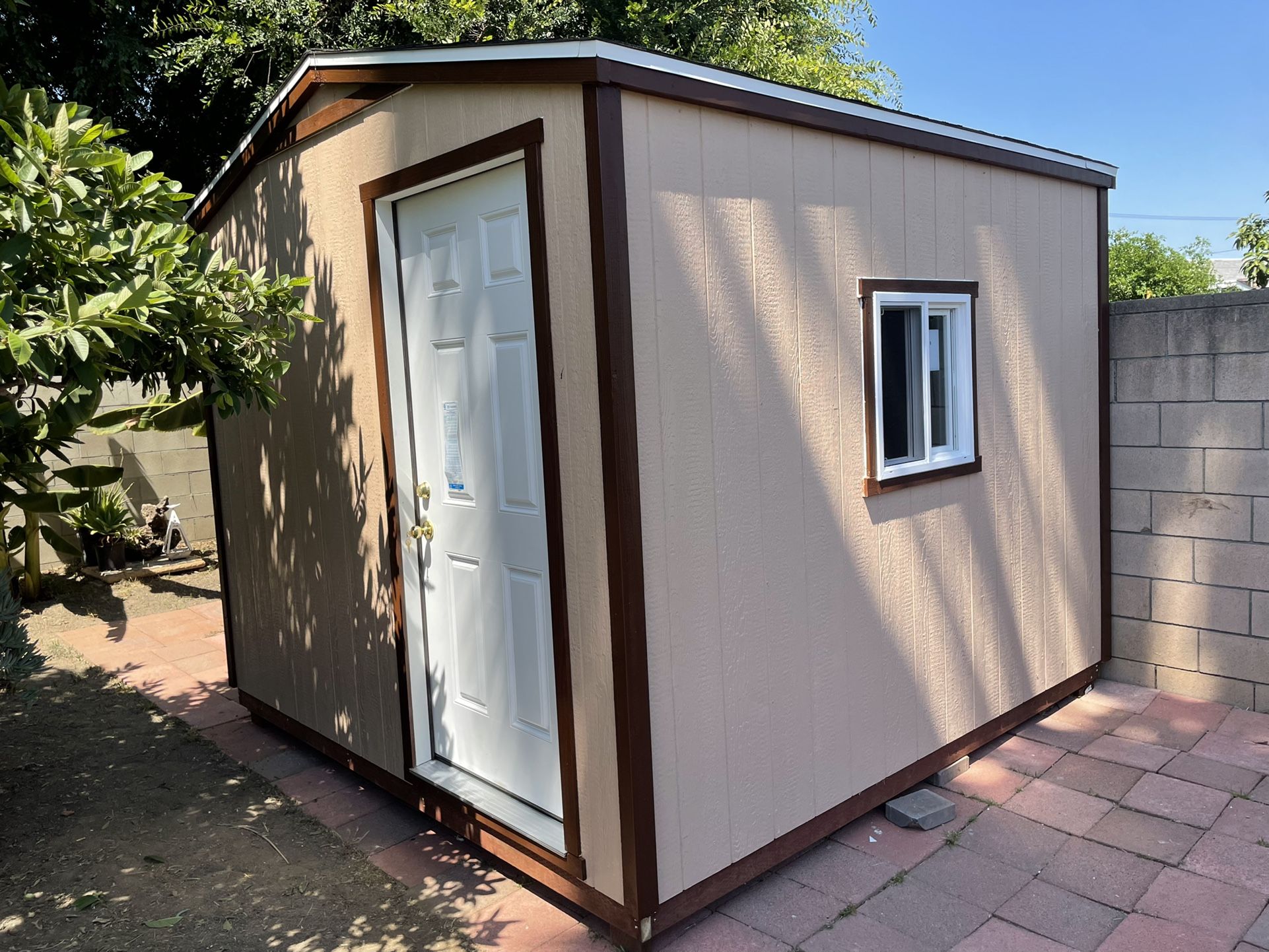 Shed 10x10x8