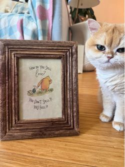 Moving Sale – Decorative Wall Art $