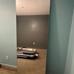 Closet door mirrored