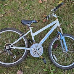 Roadmaster bike