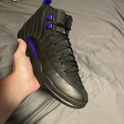 Jordan 12 Concorde