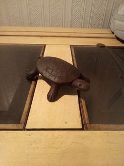 Adorable Cast Iron Turtle
