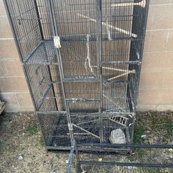 Bird Cage