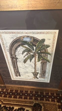 Palm Tree Prints with Custom Frames