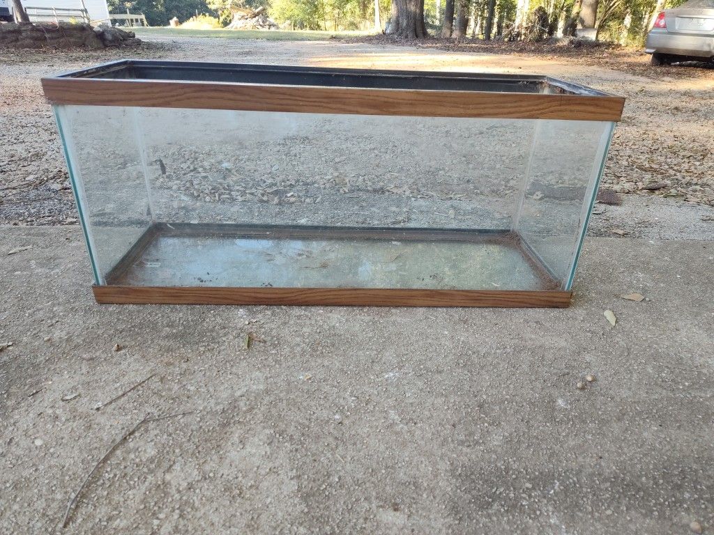 Aquarium/Terrarium