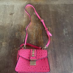 Women's Pink Handbag/purse. Everett Melvin Avenue/Broadway pick up area