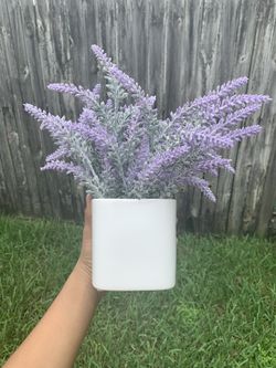 Purple succulent plant with vase