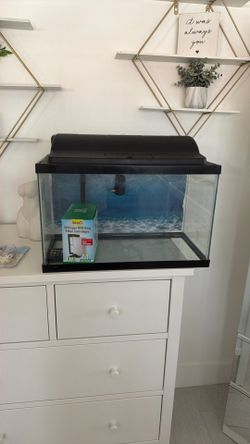 10 Gallon Fish tank 