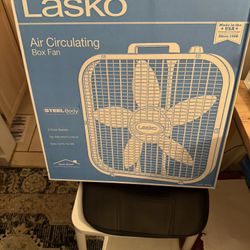 New fan