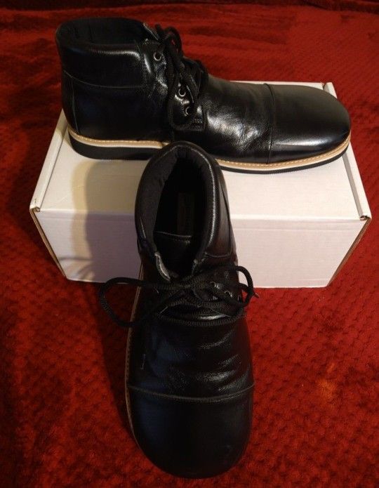 Professional Clown Shoes 