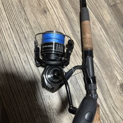 Daiwa Mq