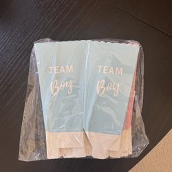 Gender Reveal Popcorn Boxes