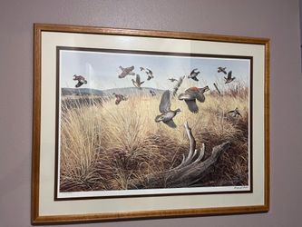 Maynard Reece Quail Limited Edition Print 442/950 Framed