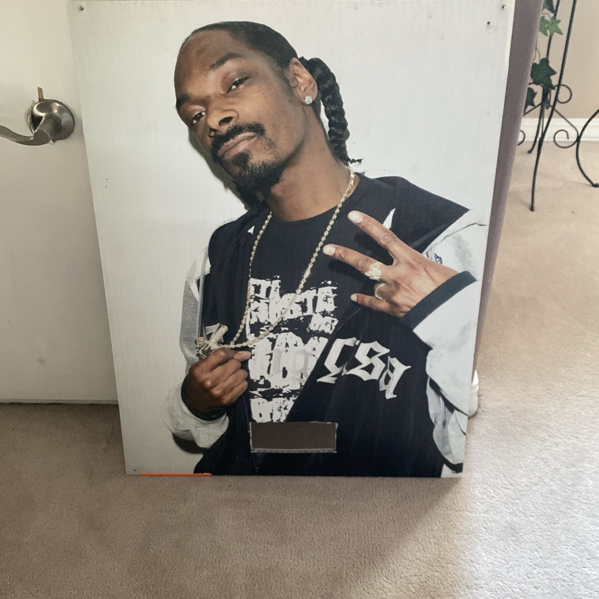 Snoop dog Billboard